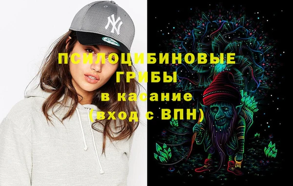 дмт Гусь-Хрустальный