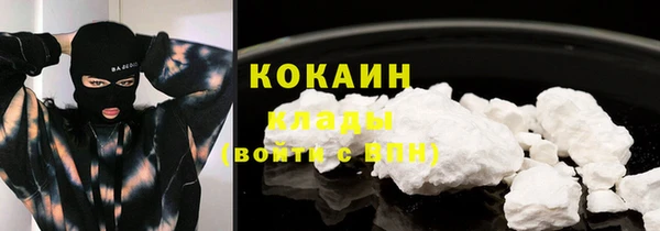 гашик Елизово