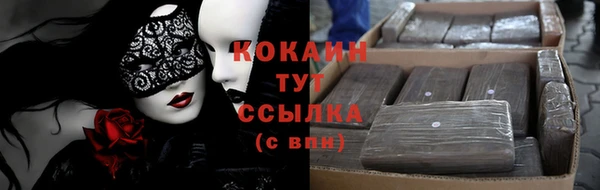 мяу мяу мука Белокуриха