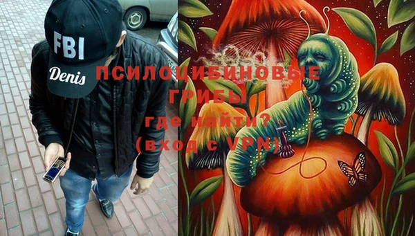 мяу мяу мука Белокуриха
