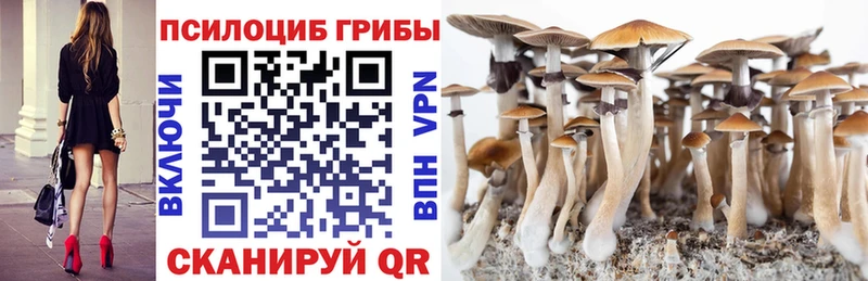 мега ссылки  Новоалтайск  Галлюциногенные грибы Psilocybine cubensis  наркота 